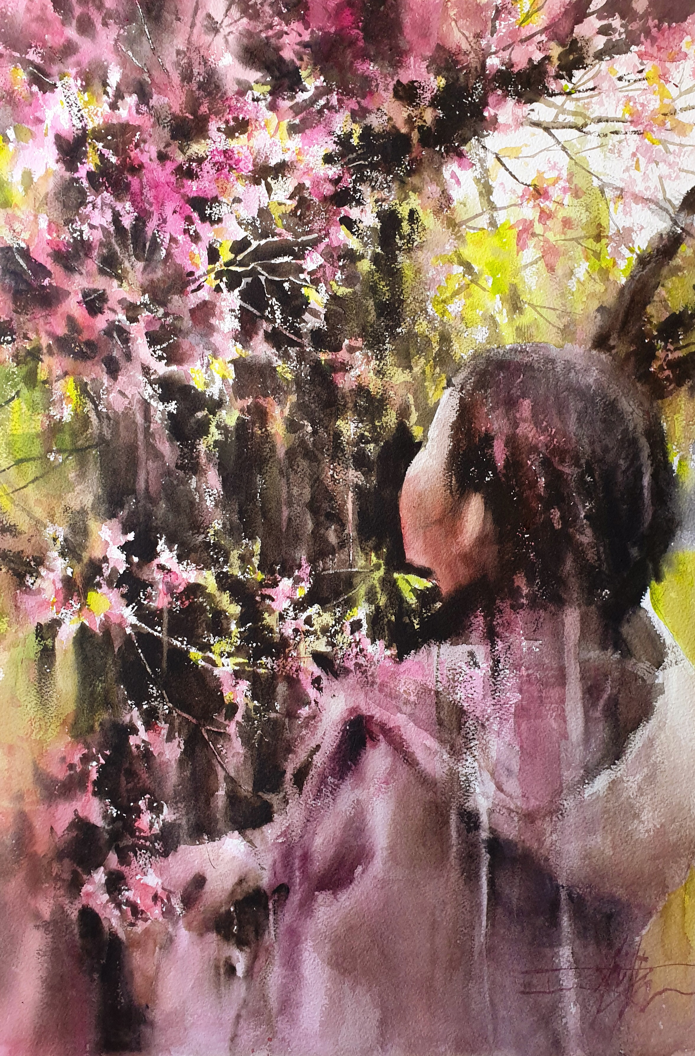 Sakura 