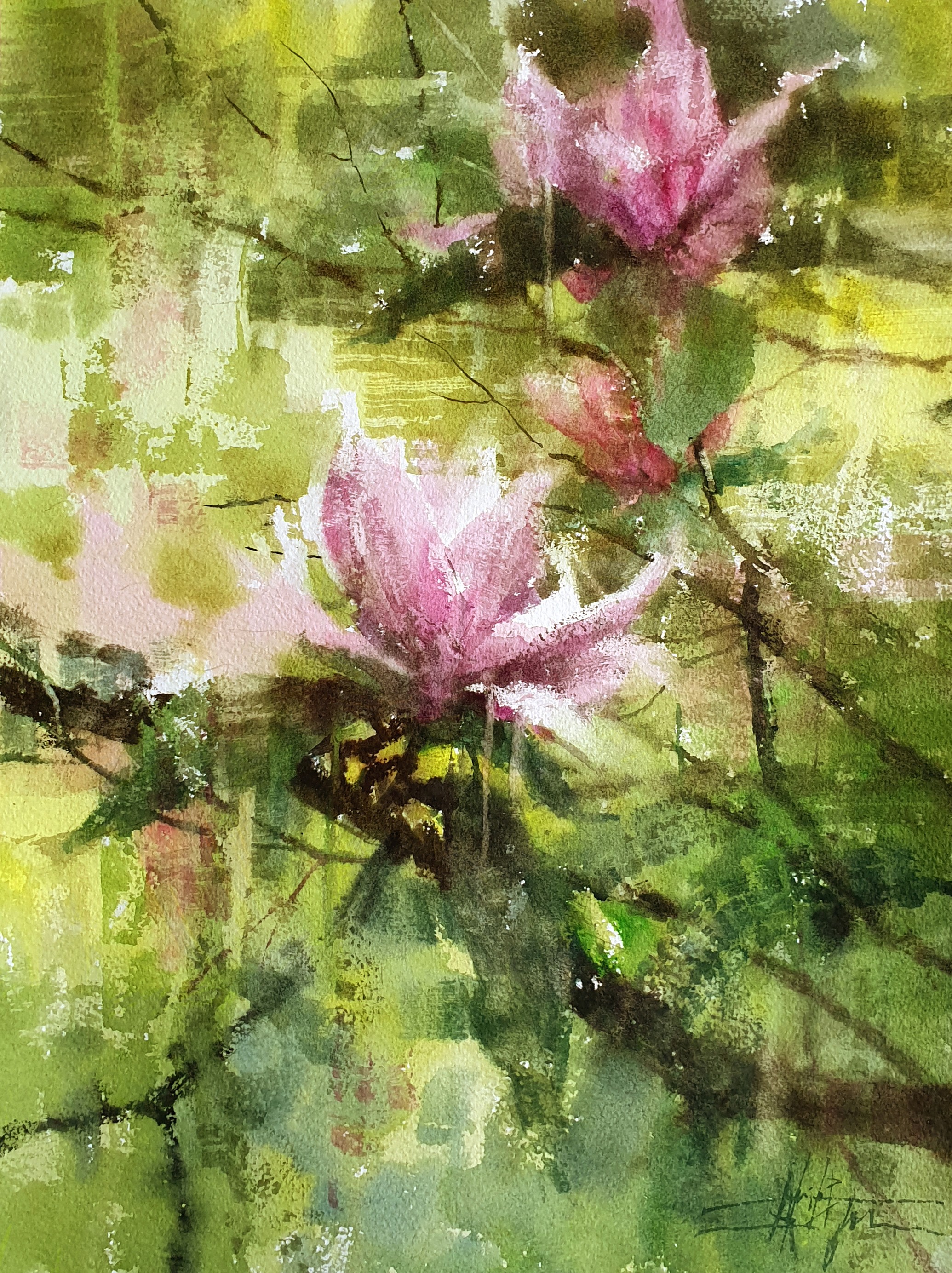 Magnolias