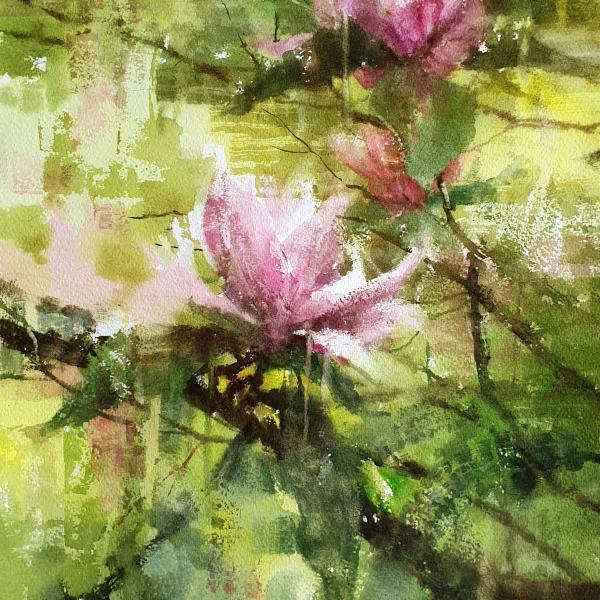 Magnolias